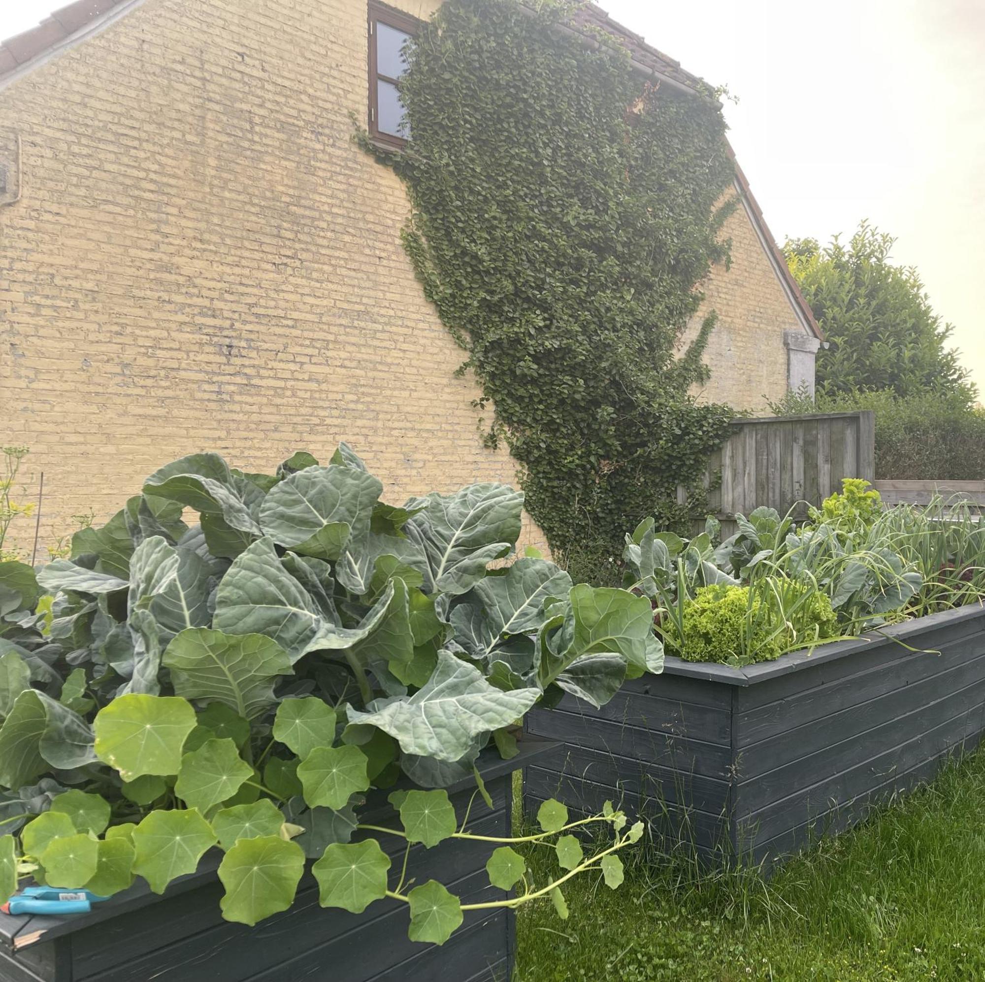 Jygge- Hyggelige Ferienwohnung Nordborg Exteriér fotografie